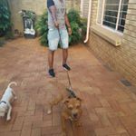 Profile Picture of Samuel Feday (@samuelfeday) on Instagram