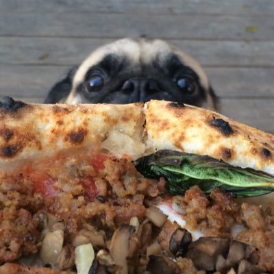 Laura Risner - Twitter Profile Picture of Laura Risner (@MuffinMama2) on Twitter