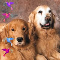 Profile Picture of Paul Mcnutt (@paul-mcnutt-12) on Quora