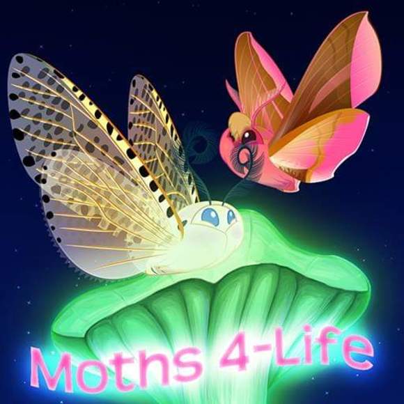 Profile Picture of Moffs Moffs (@buttfumble111) on Poshmark