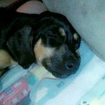 jonathan - Instagram Profile Picture of jonathan (@jonholston87) on Instagram