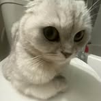 Profile Picture of Leah Latimer (@Leah-Latimer) on Facebook