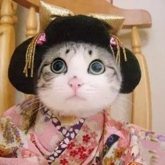 Profile Picture of Maoni Stephens (@maoni0) on Twitter