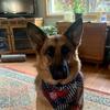 Profile Picture of Markku (@markku838) on Tiktok