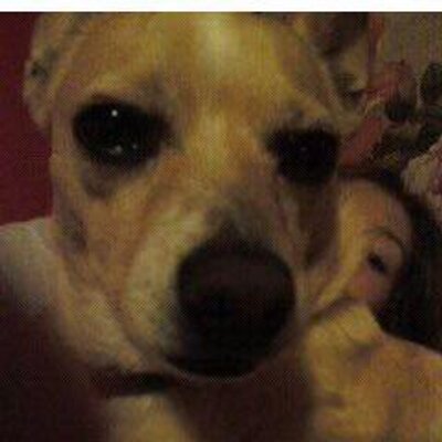 Profile Picture of Gus Nelson (@MrGusNelson) on Twitter