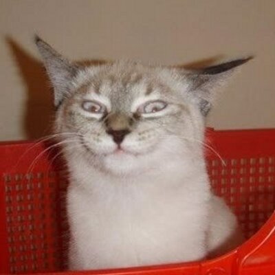 Profile Picture of Alan McClanaghan (@AlanMcClanaghan) on Twitter