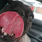 Profile Picture of Lola Crabtree (@Lola-Crabtree) on Facebook