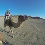 Profile Picture of Jonas Schemann (@rabauke_j) on Instagram