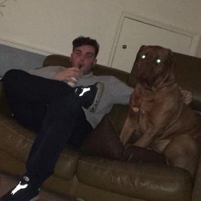 Profile Picture of Joshuakeenan (@joshuakeenann) on Twitter
