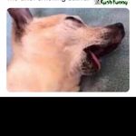 Profile Picture of Vlad Gregory (@lil_biscuit445_) on Instagram