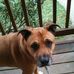 Profile Picture of Pat Clohessy (@patrick.clohessy.12) on Facebook