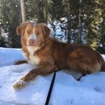 Perry Anders Bartelt🍔🐕🥩🍻😀 - Instagram Profile Picture of Perry Anders Bartelt🍔🐕🥩🍻😀 (@perry.bartelt) on Instagram