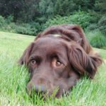 Profile Picture of Erik Hartmann (@erikhartma) on Instagram