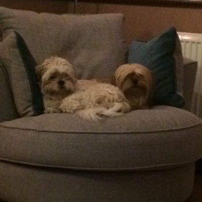 Profile Picture of David Cunliffe (@cunny666) on Twitter