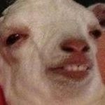 Profile Picture of Landon Scott Midgett (@landonscottmidgett) on Instagram