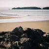 Profile Picture of Nicholas Auer (@alex_bartoletti48) on Tiktok