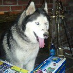 Profile Picture of cindynewcomb (@cindynewcomb) on Instagram