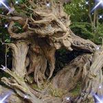 Profile Picture of Jeffrey Canaday (@jeffrey_canaday) on Instagram