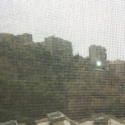 Profile Picture of Vicky Haddad (@vicky_haddad) on Twitter