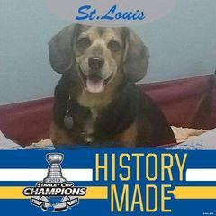 Profile Picture of stevenrickett9678 (@stevenrickett9678) on Tiktok