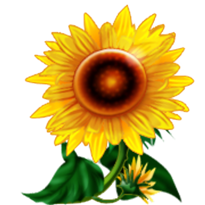 Profile Picture of Barbara Lafferty (@seabelle5) on Twitter