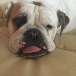 Ray Rummel - Instagram Profile Picture of Ray Rummel (@lyndaxanthopoulosherrman) on Instagram