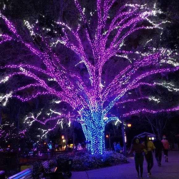 Profile Picture of Barbara Shapiro (@baxternpeaches) on Poshmark