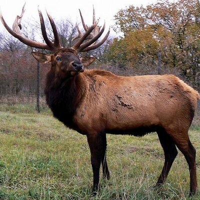 Profile Picture of Joshua Kelsch (@JoshuaKelsch1) on Twitter