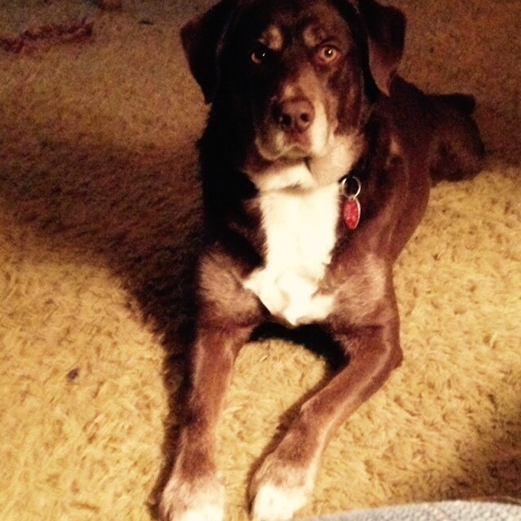 Profile Picture of Nicole Feller (@nicolefeller98) on Poshmark