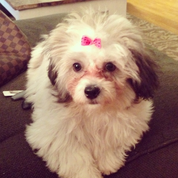 Profile Picture of Abby Dutson (@adutson) on Poshmark