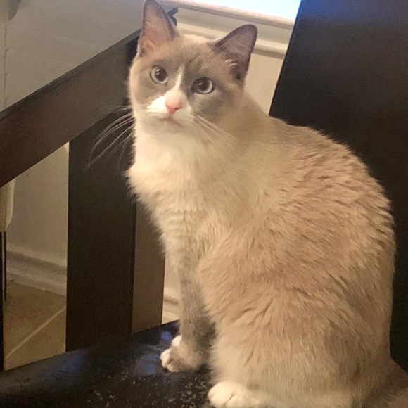 Profile Picture of Stela Bundrick (@eleitner1205) on Poshmark