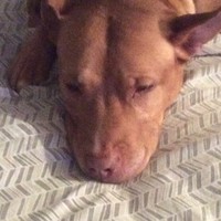 Profile Picture of Cesar Taveras (@cesar-taveras-4) on Quora