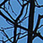 Profile Picture of Stephanie Trinidad (@trinitravels) on Flickr