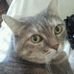 Profile Picture of Dawn Beacham (@dawn.beacham) on Facebook