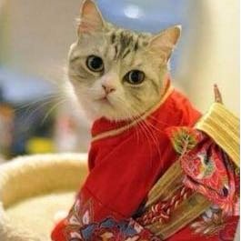 Beverly Yu - Twitter Profile Picture of Beverly Yu (@Beverly502Yu) on Twitter