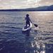 Profile Picture of Danielle Sylvia (@dsylvia2) on Pinterest