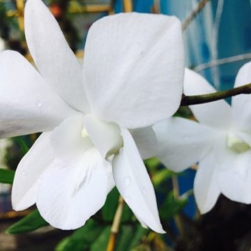 Profile Picture of Fender (@mark77088713) on Twitter