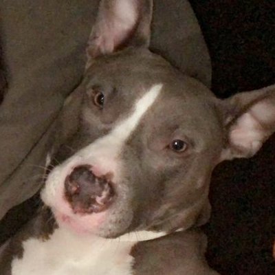 Profile Picture of Timothy Lee Hadden (@Phoenix_2002) on Twitter