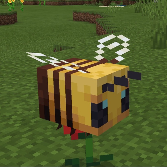 Grace Kortman - Poshmark Profile Picture of Grace Kortman (@stitchmoose) on Poshmark