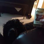 Profile Picture of Kevin Sproule (@sproule.kevin) on Instagram