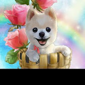 Profile Picture of Jason Knisley (@forumzfrxt1908) on Youtube