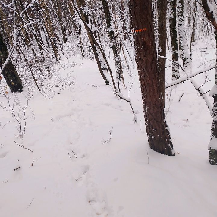 Profile Picture of adamsupera (@adamsupera) on Tiktok