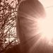 Profile Picture of Bianca Haider (@bhaider0009) on Pinterest