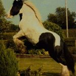 Profile Picture of Darren Humphreys (@darren.humphreys.75) on Instagram