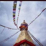 Profile Picture of Calvin Sutton 40 (@sofiamcdonalid_468756) on Instagram