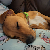 Profile Picture of Charles Perry (@charlesperry6749) on Youtube