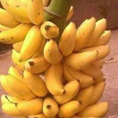 Profile Picture of George Dickson Otien (@DicksonOtien) on Twitter