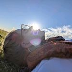 Profile Picture of Tori Matthews (@matthewstori) on Instagram