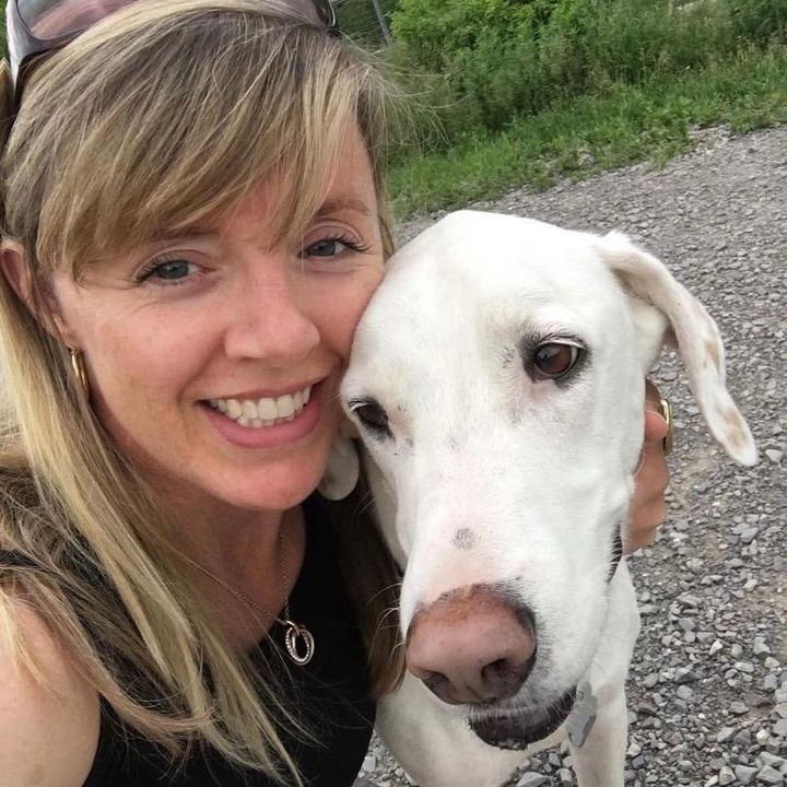 Profile Picture of Kristi & Dexter Pointer Dane (@kestemmler) on Tiktok