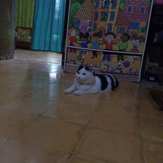 Profile Picture of Sherly Junita (@sherly.junita.71) on Facebook